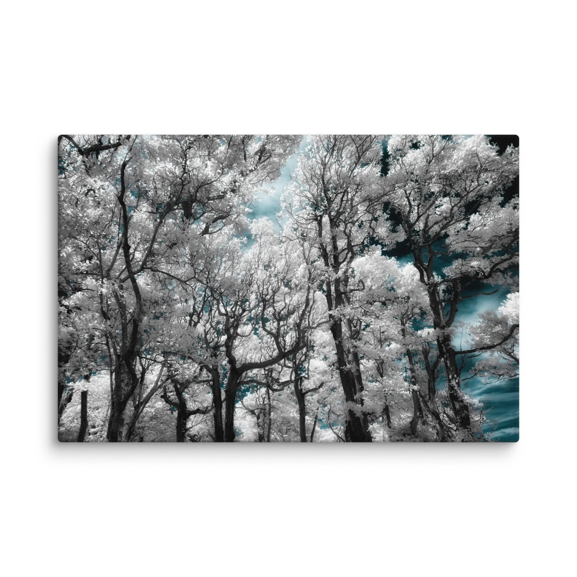 canvas-(in)-24x36-wall-674fcf1ea39f2.jpg