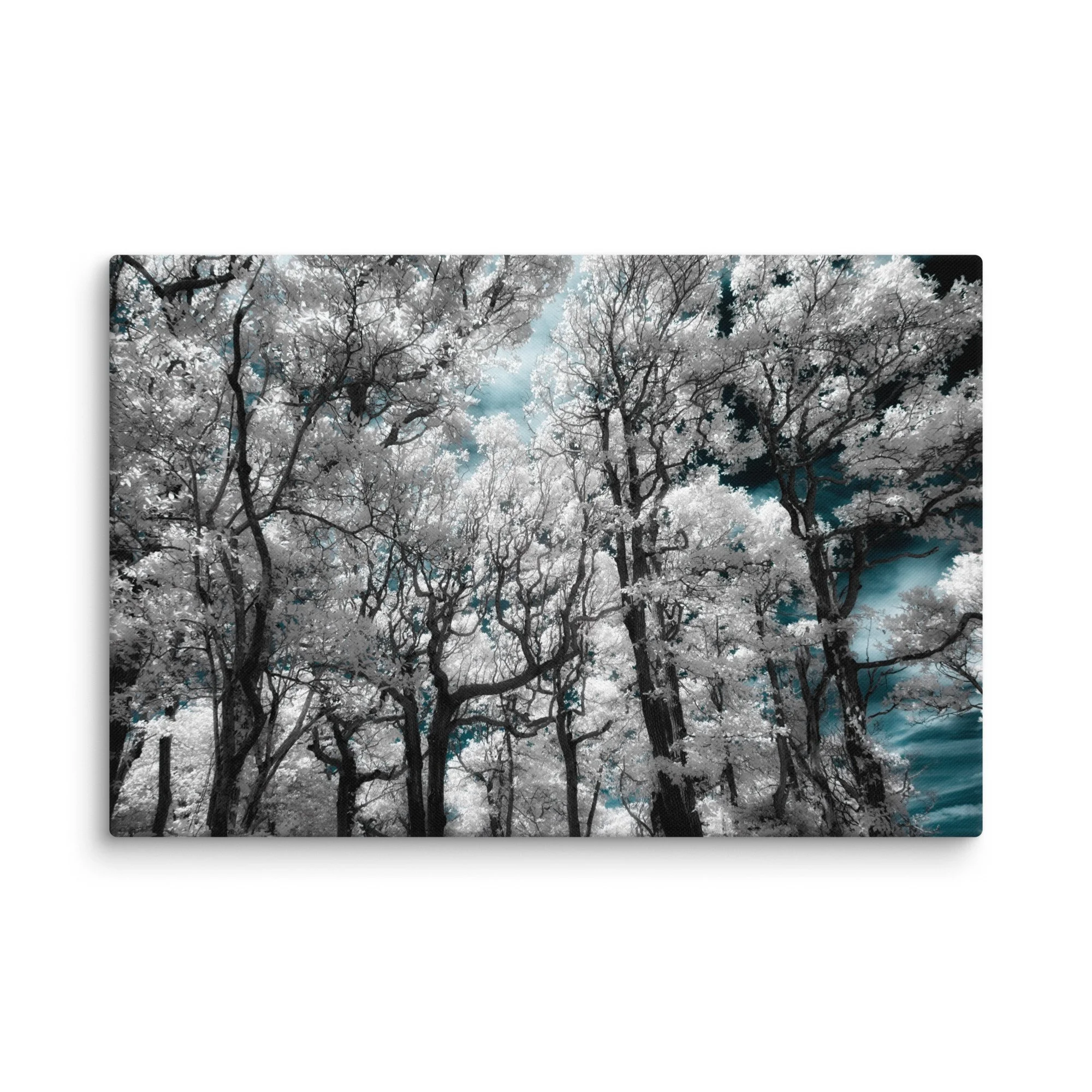 canvas-(in)-20x30-wall-674fcf1ea4011.jpg