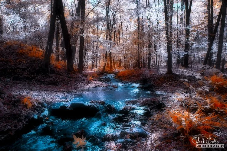 Riverbed