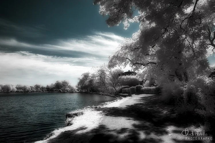 Shoreline Path