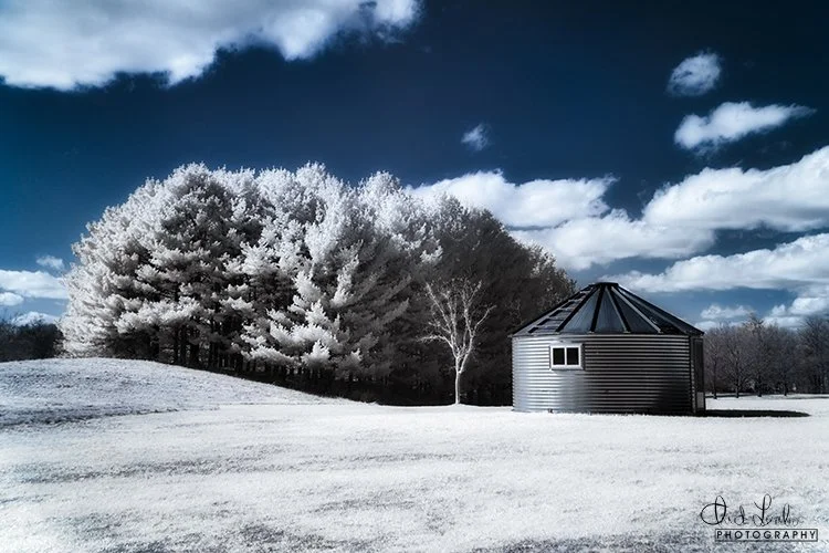 The Shed