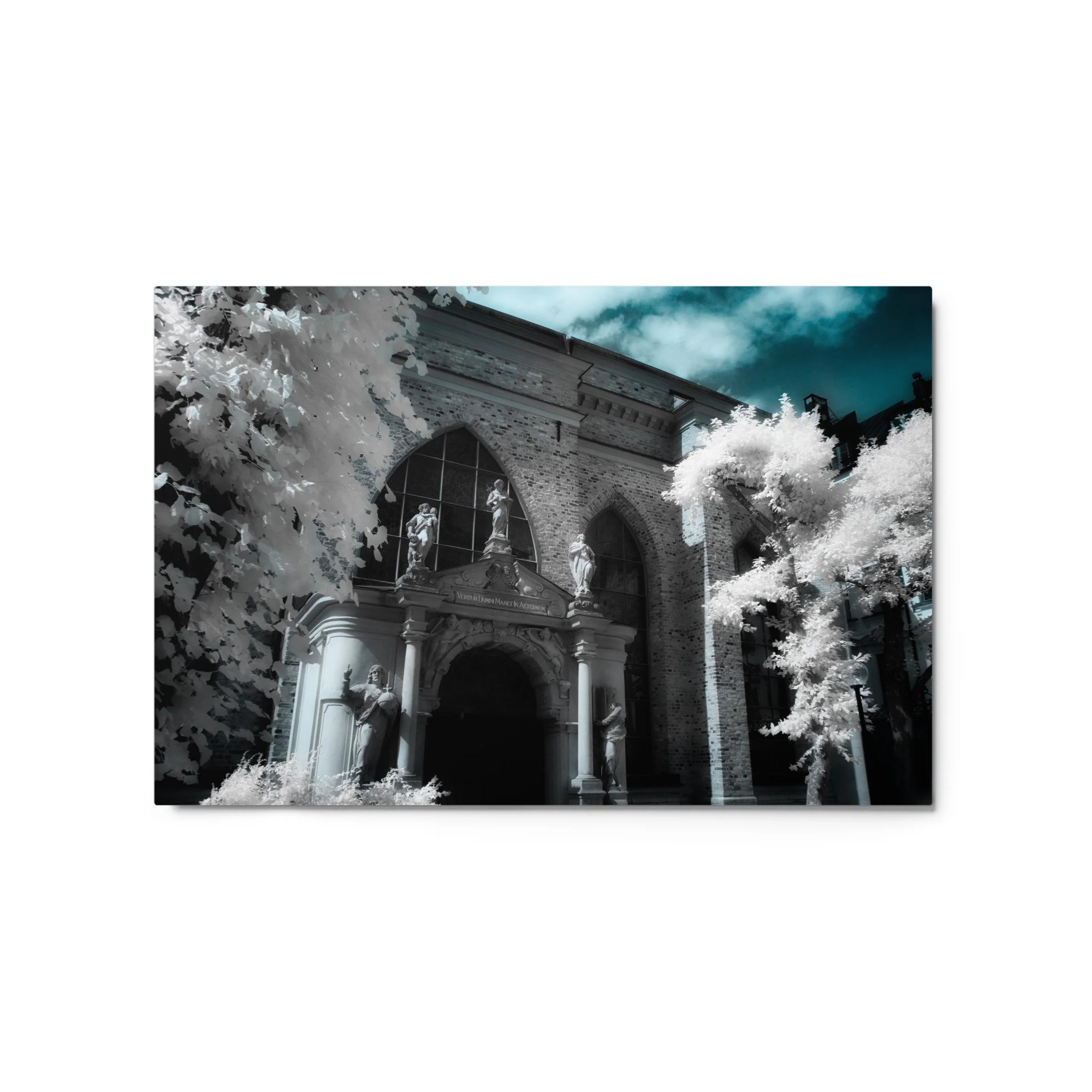 glossy-metal-print-(in)-white-20x30-front-6ab81bc4efd7a.jpg