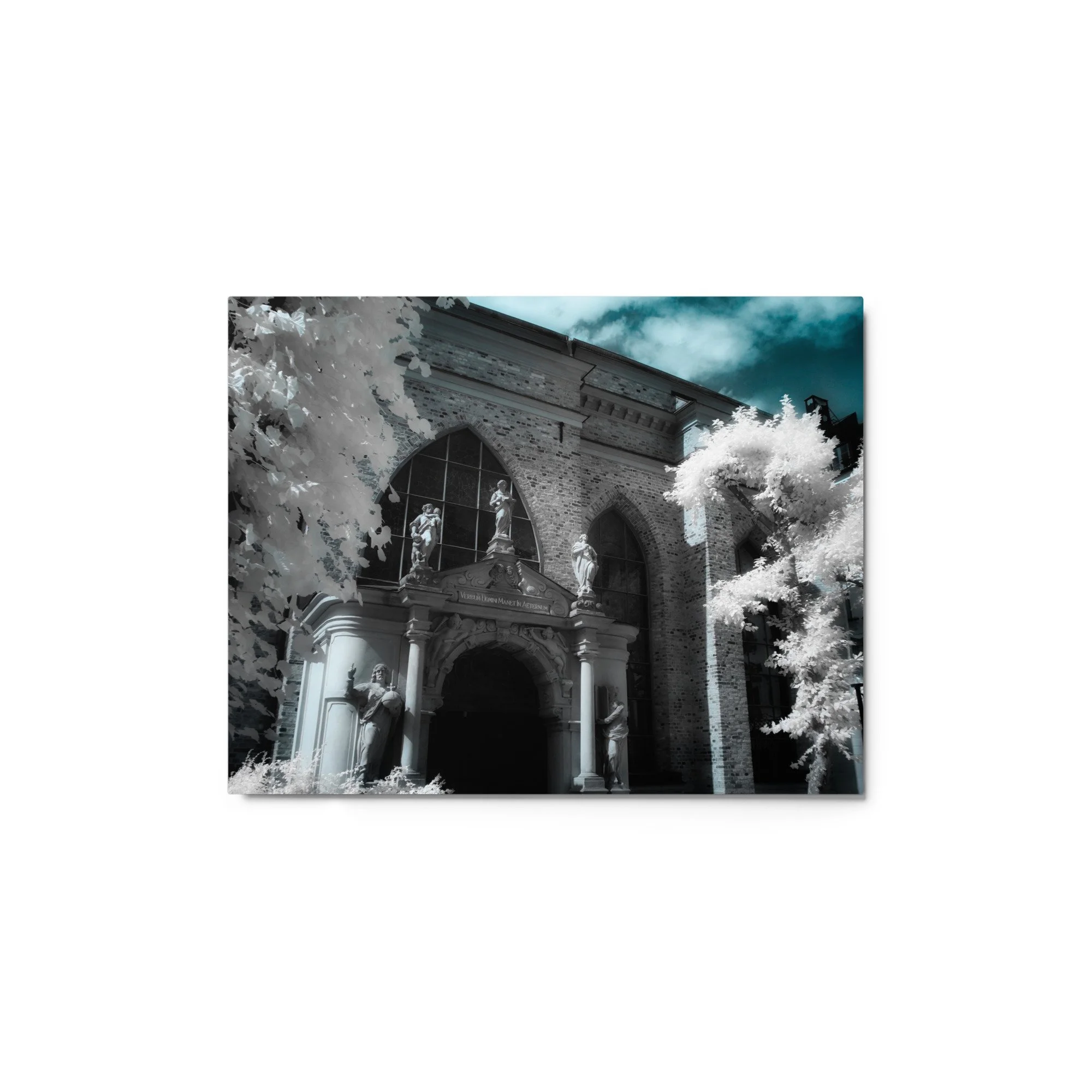 glossy-metal-print-(in)-white-11x14-front-6ab81bc4f0a6f.jpg