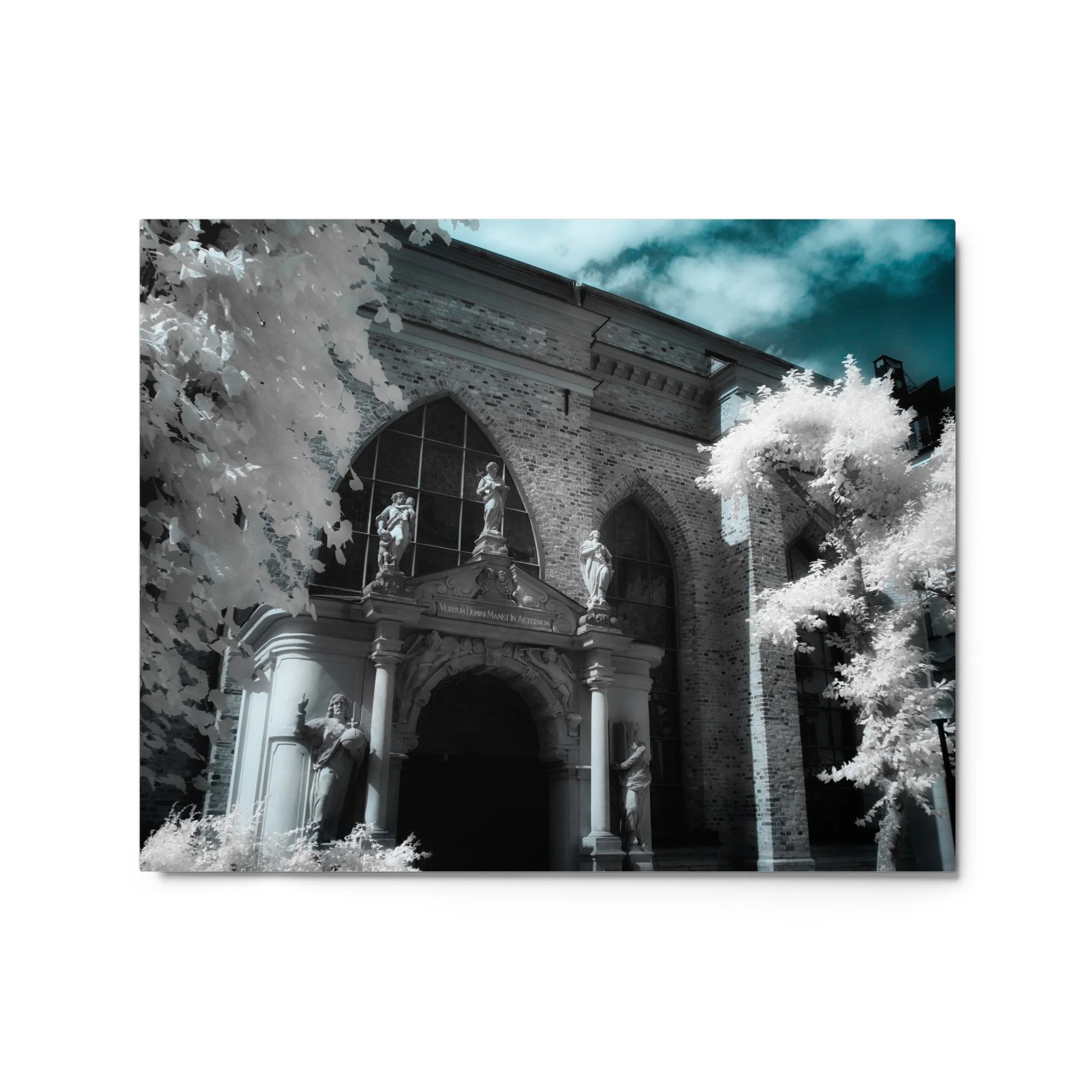 glossy-metal-print-(in)-white-16x20-front-6ab81bc4f0aba.jpg