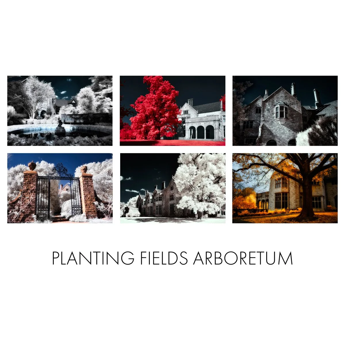 _Card Box Insert - Planting Fields.jpg