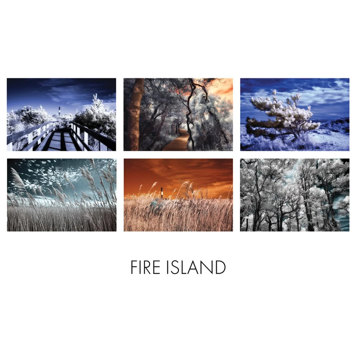 _Card Box Insert - Fire Island.jpg