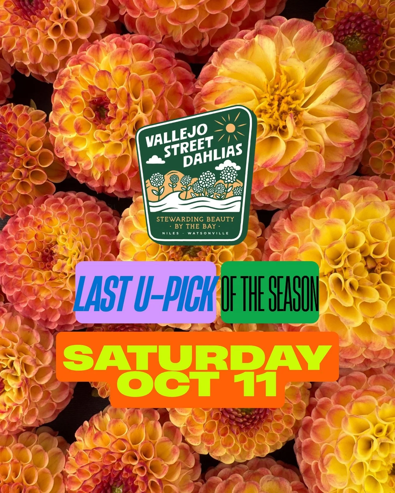 This is it friends 😭😭 our Friday availability is already SOLD OUT, meaning that Saturday is your last chance to say goodbye to these beauties before we put them to bed for the winter! Grab tickets in our bio today, and we hope to see you this weeke