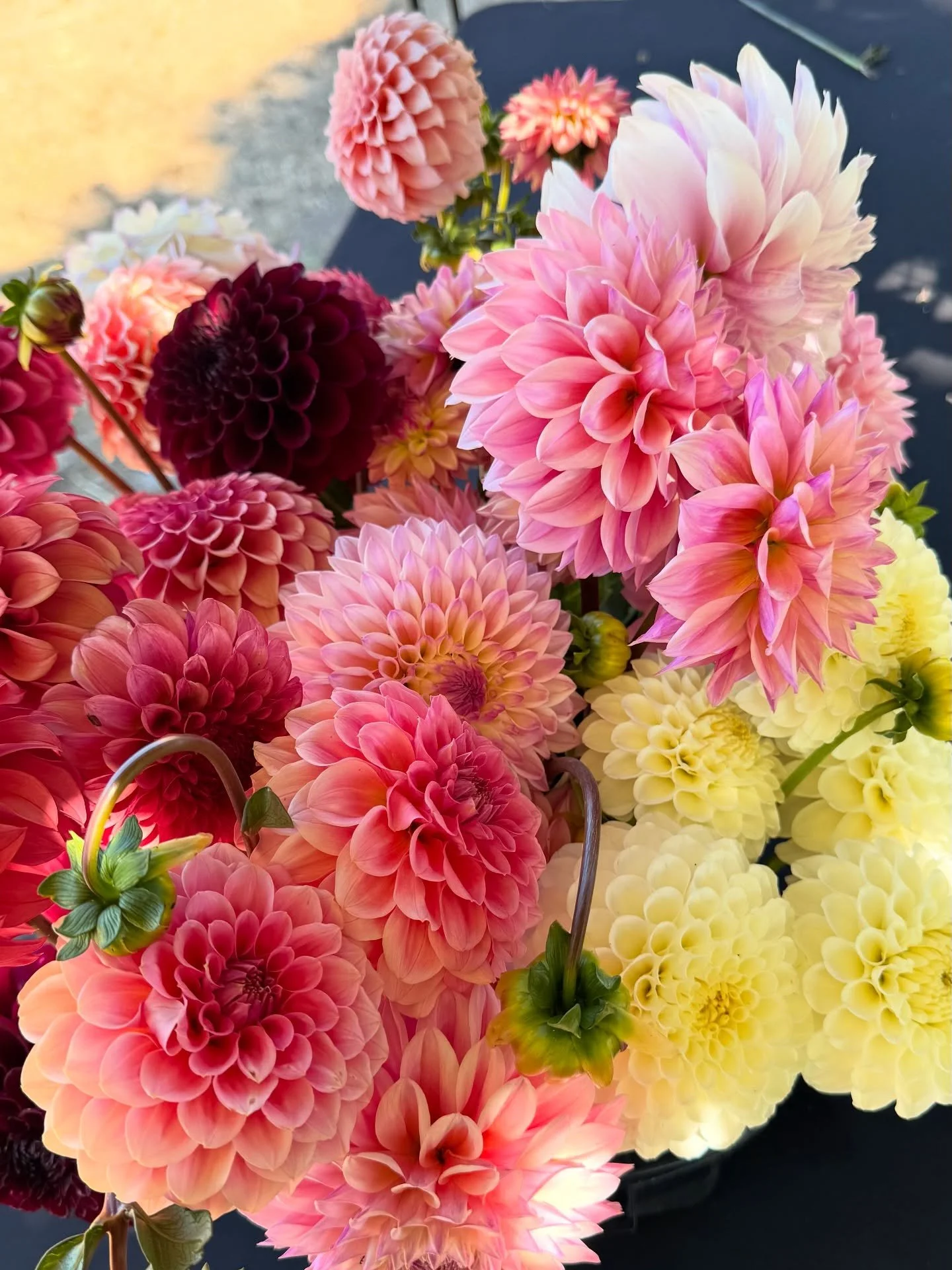 The beauty we wait all season to share 😍😍😍