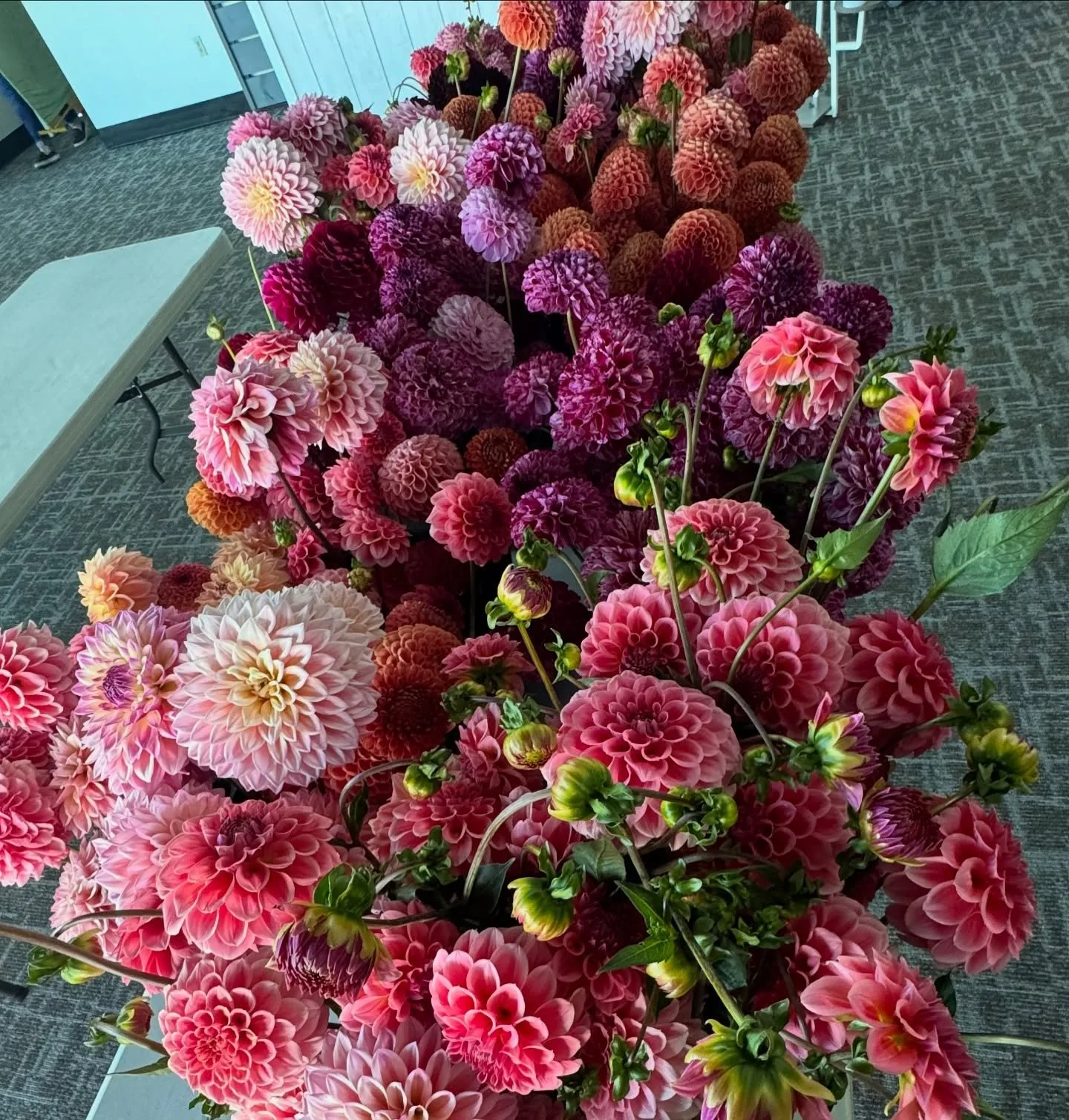 Our first big harvest of the season for a special event! The season is HERE! 🎉🎉