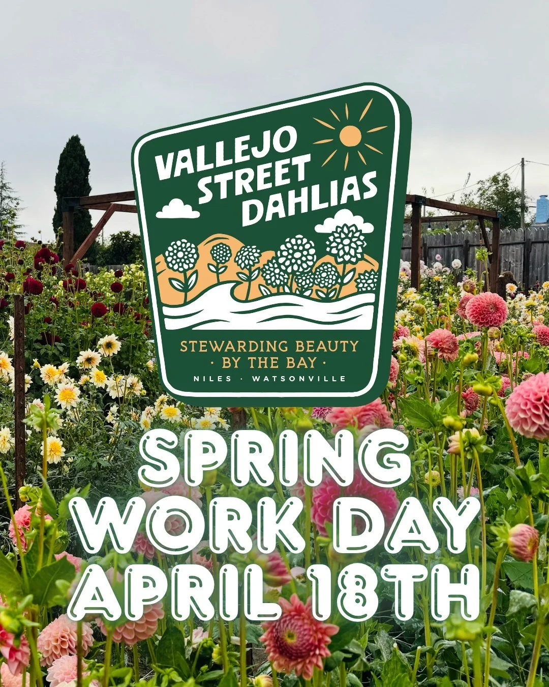 Hello flower friends, it's that time of year! We will be on the farm on Saturday, April 18th to begin the work of planting our field for the season. If you would like to help and come out and learn more about dahlias as well, we invite you to join us