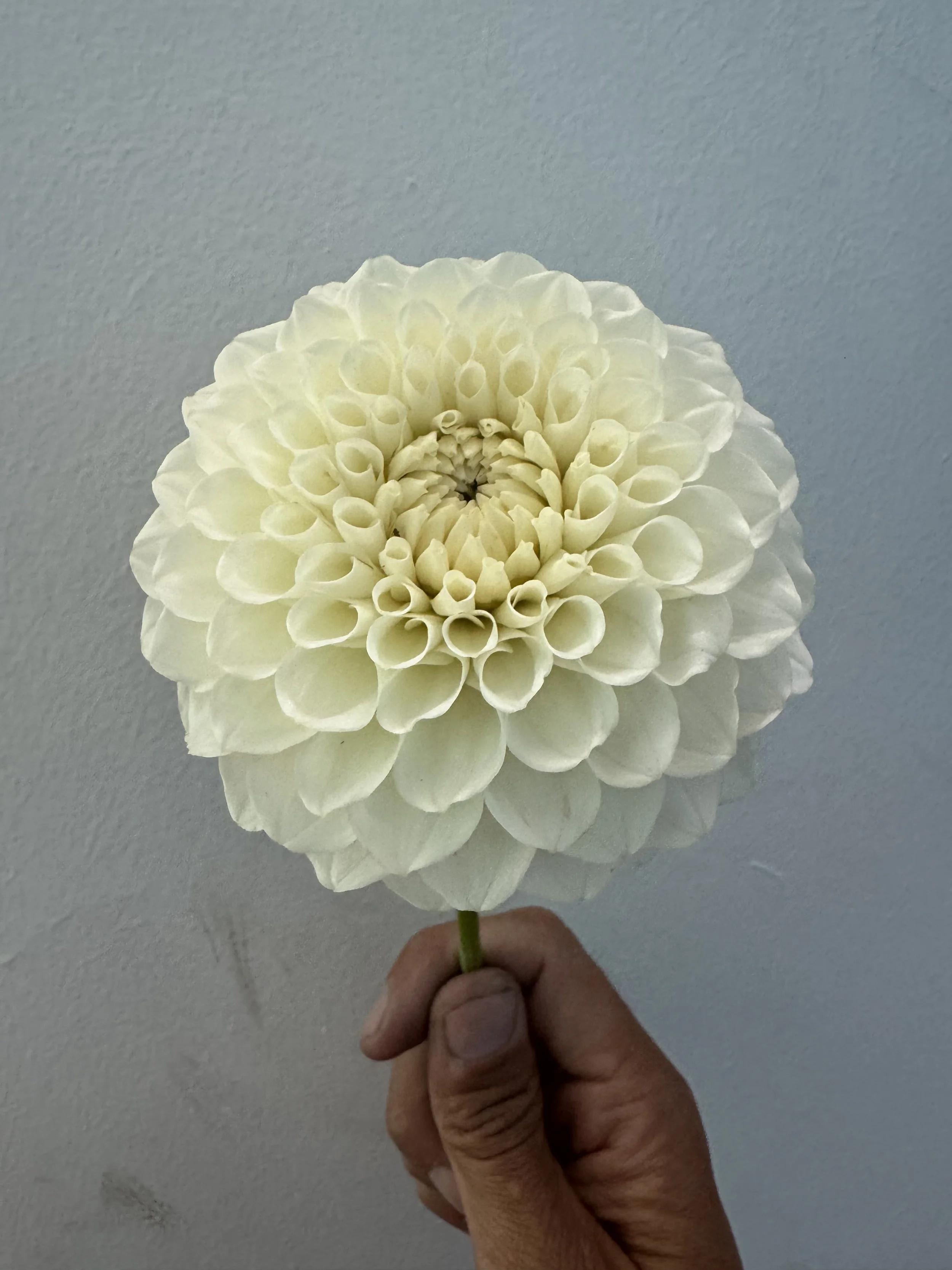 20TH AVENUE BAKER RD