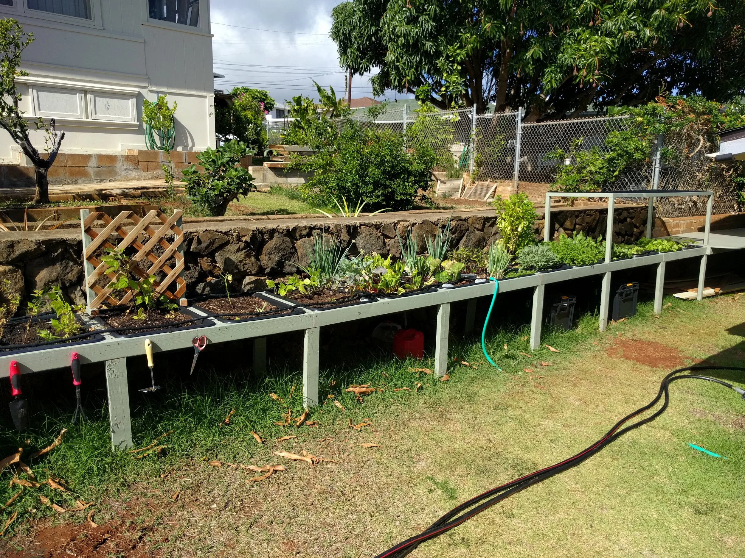 Garden in plumber boxes