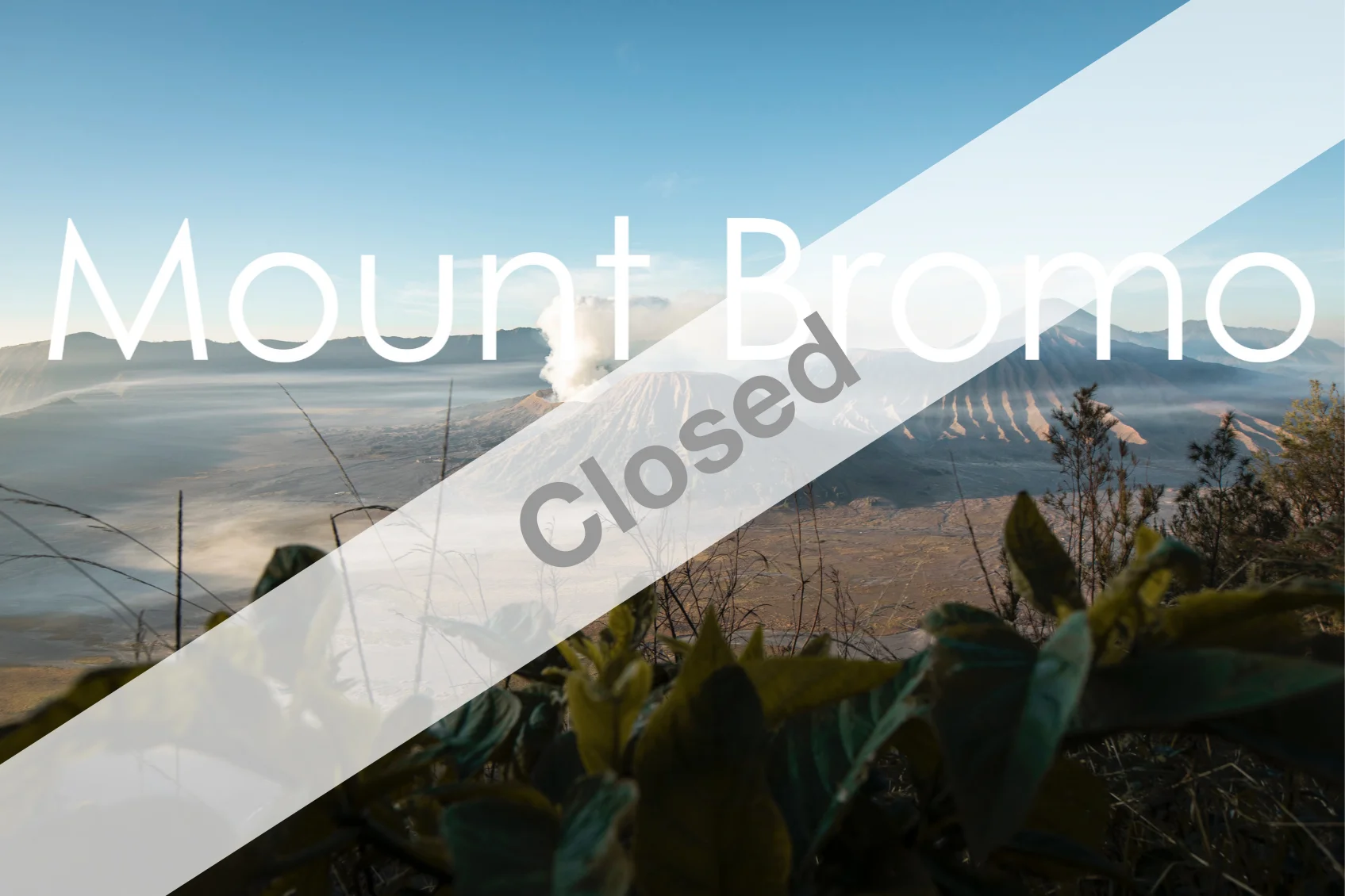 Closed.jpg