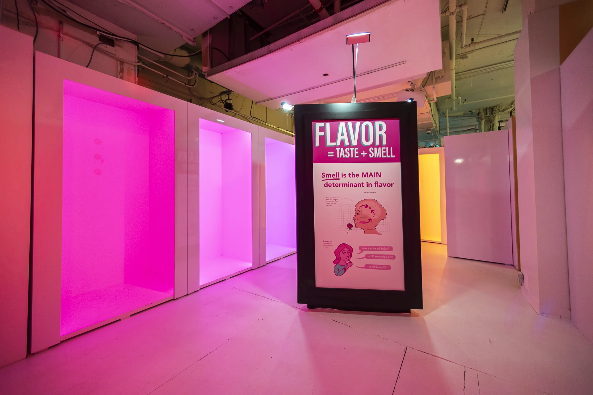 Photographed by James Coletta