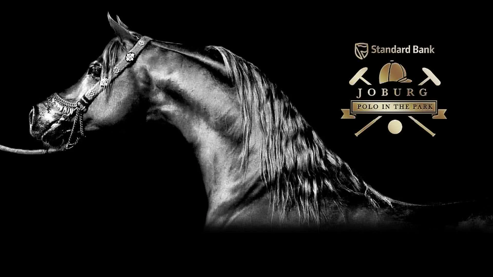 Standard Bank Polo In the Park