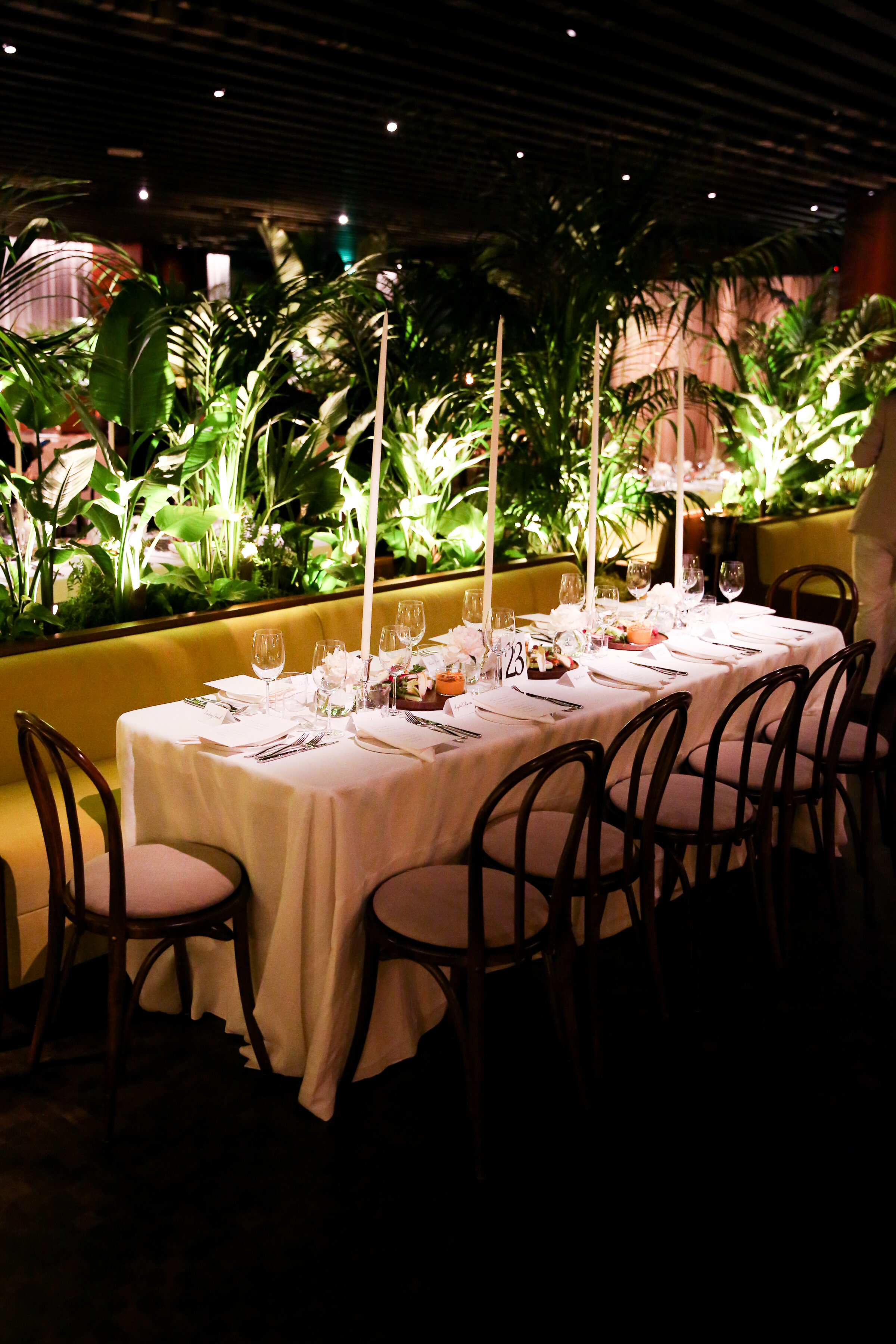  Photographer: Marc Patrick/BFA.com 