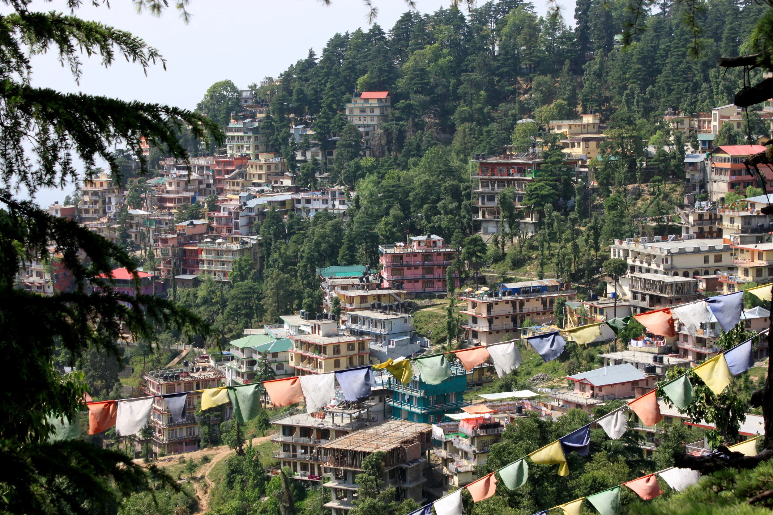 IMG_4679 - Copy (2).JPG