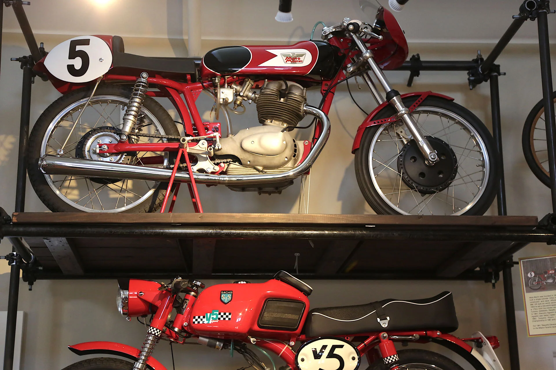 WZ4A9561.jpg