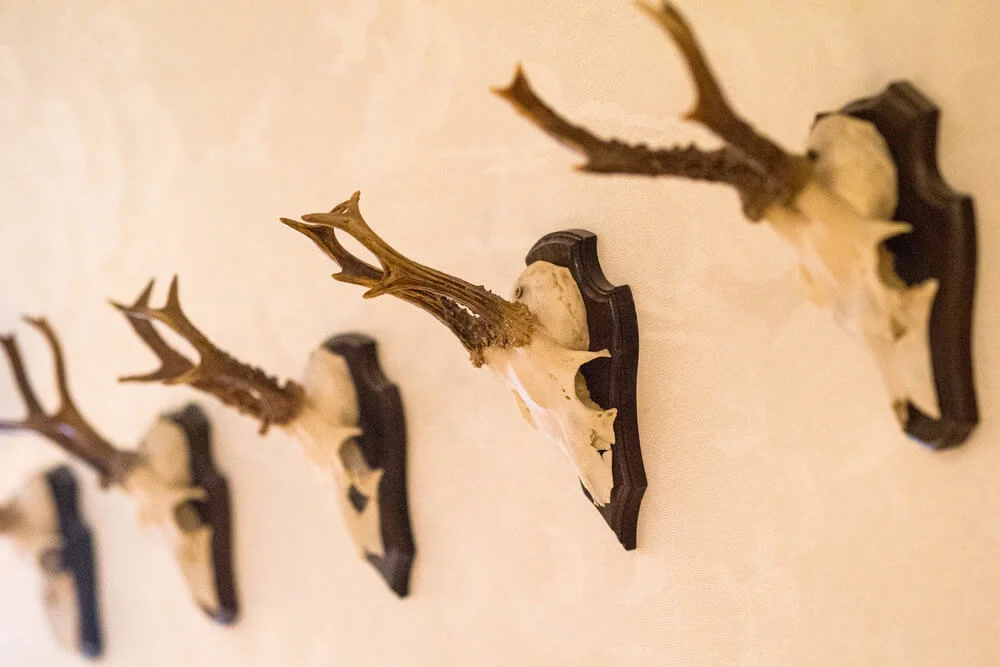 The Triton Inn Restaurant Interior Design