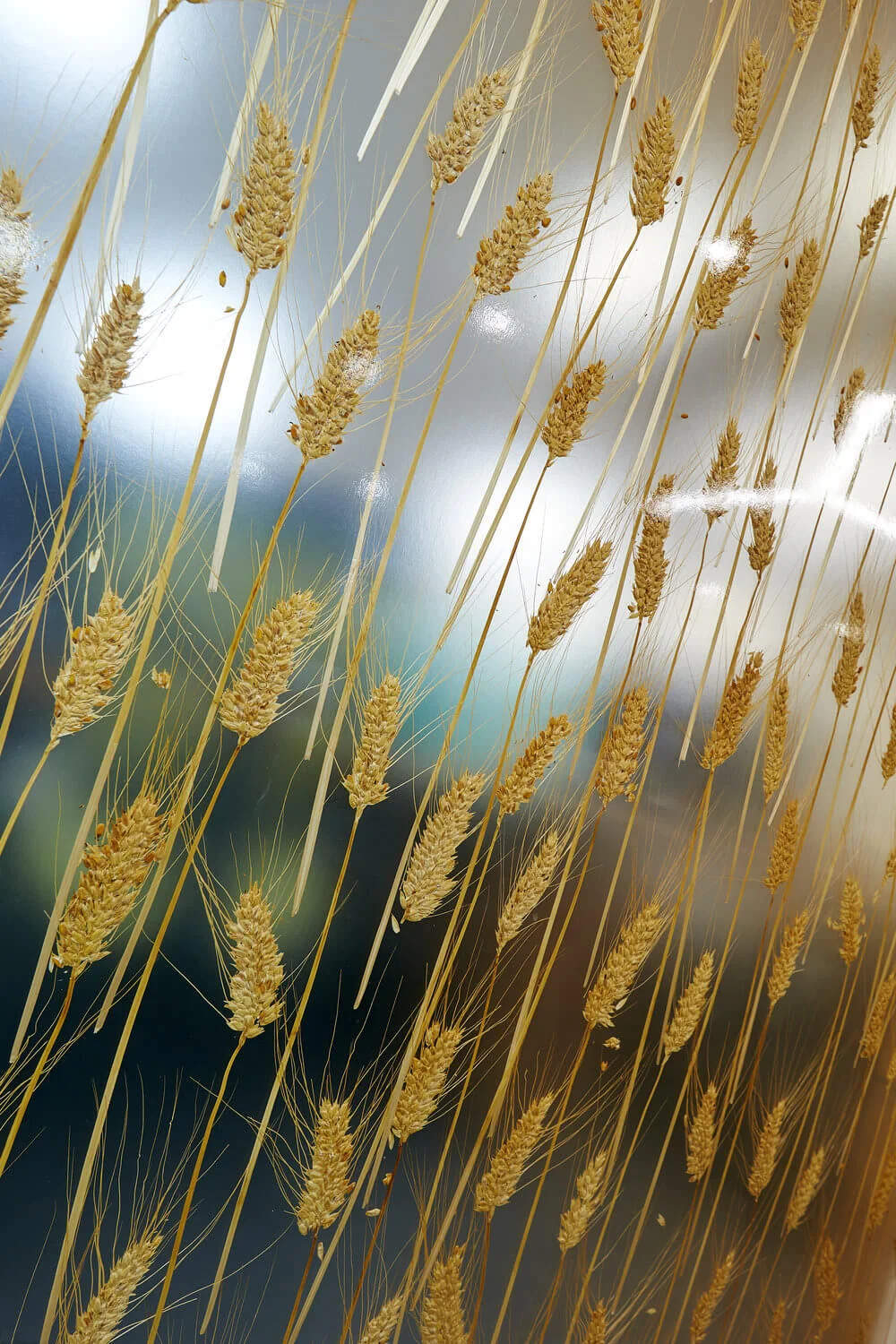 Vivergo Fuels Office Interior Design