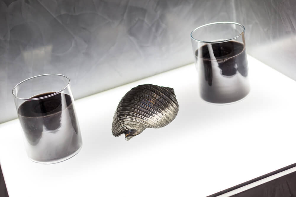 Waterside Apartments Residential Interior Design