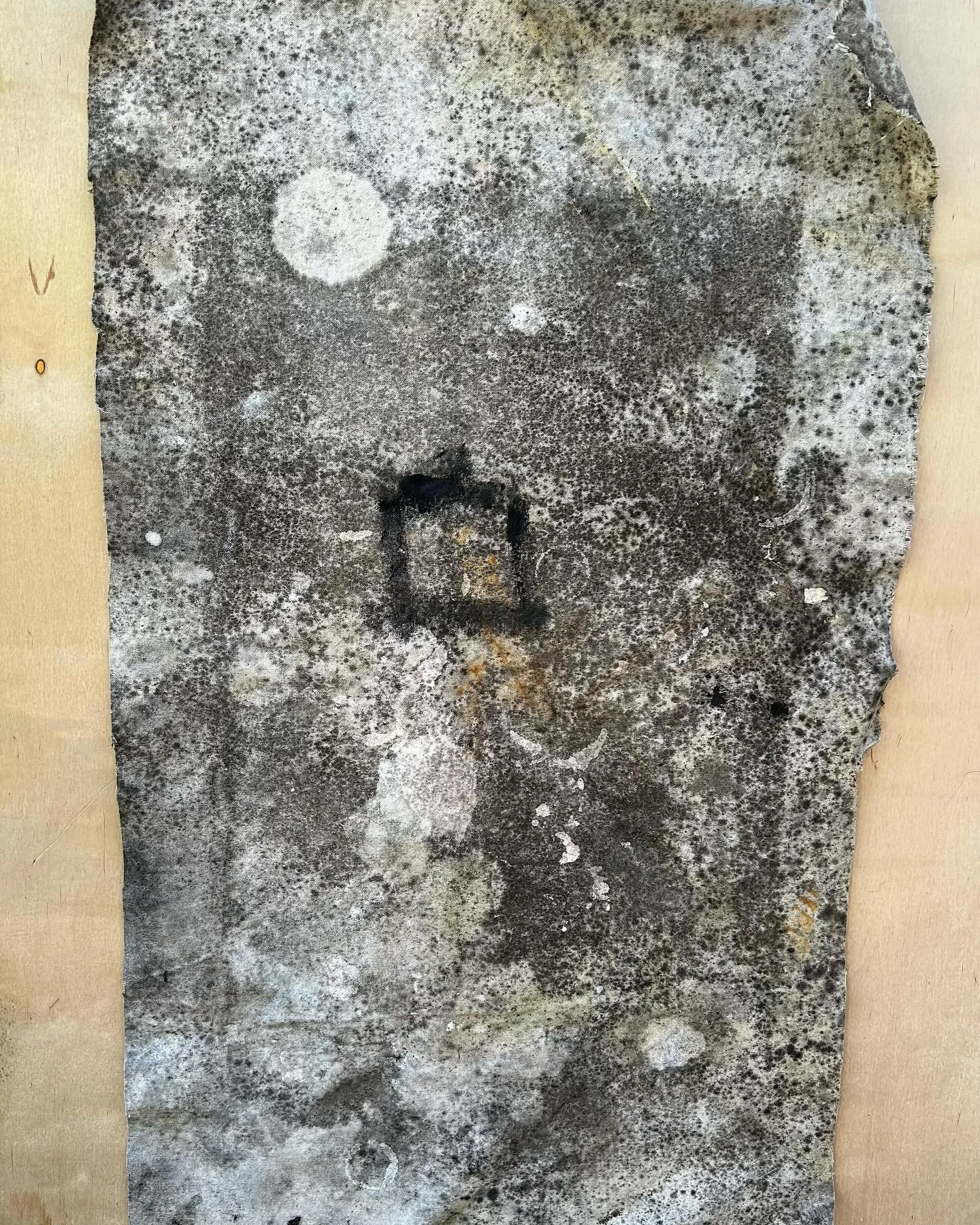 Merely to Know , mixed media on canvas #painting #contemporarypainting #contemporaryart #mixedmedia #abstractart #adriennerich #life #mixedmedia