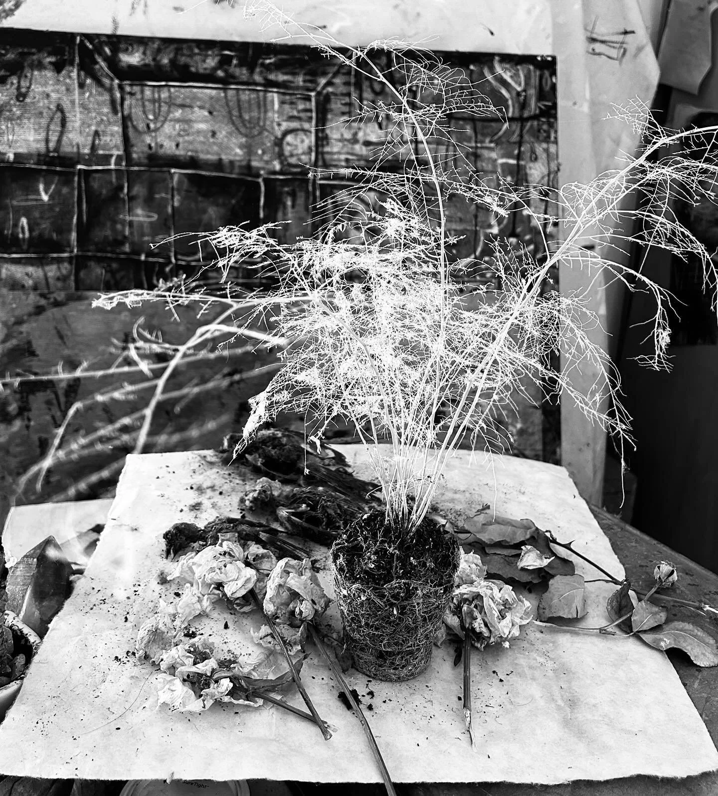 Art Studio #inspriation #artlife #contemporaryart #plants #abstractart #poetry