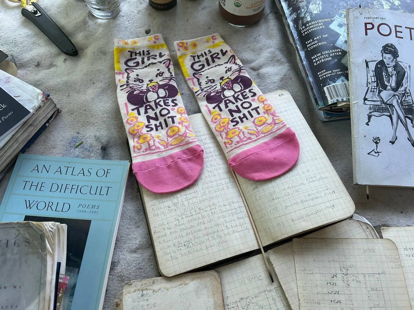 Mew Socks #artist #artlife #poetry #poeticsofspace #adriennerich #contemporaryart