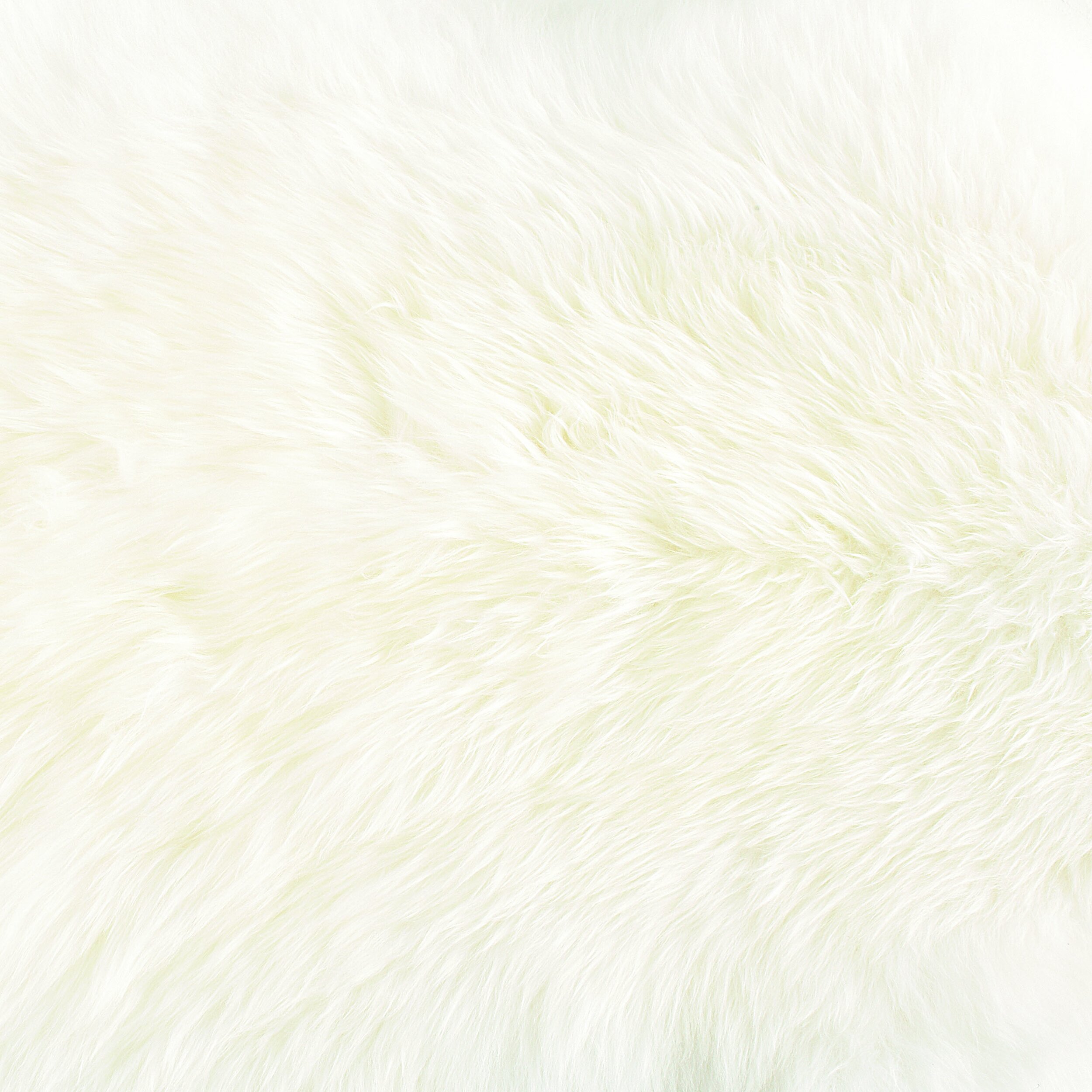 Angora Snow