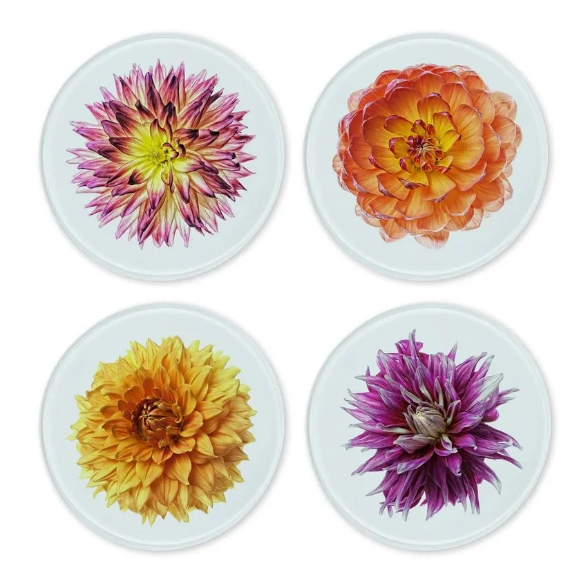 Dahlia_851x846.jpg