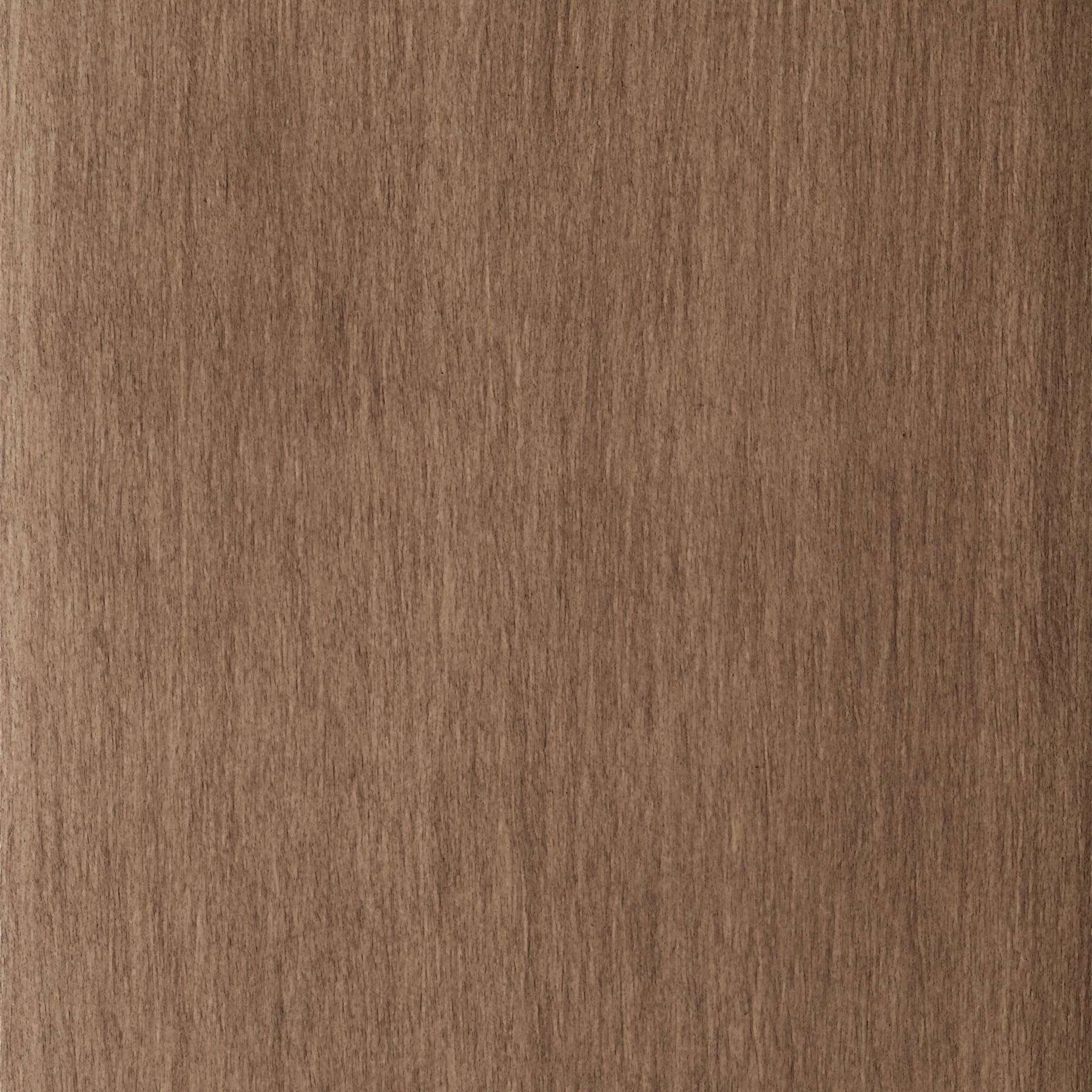 Dune on Maple