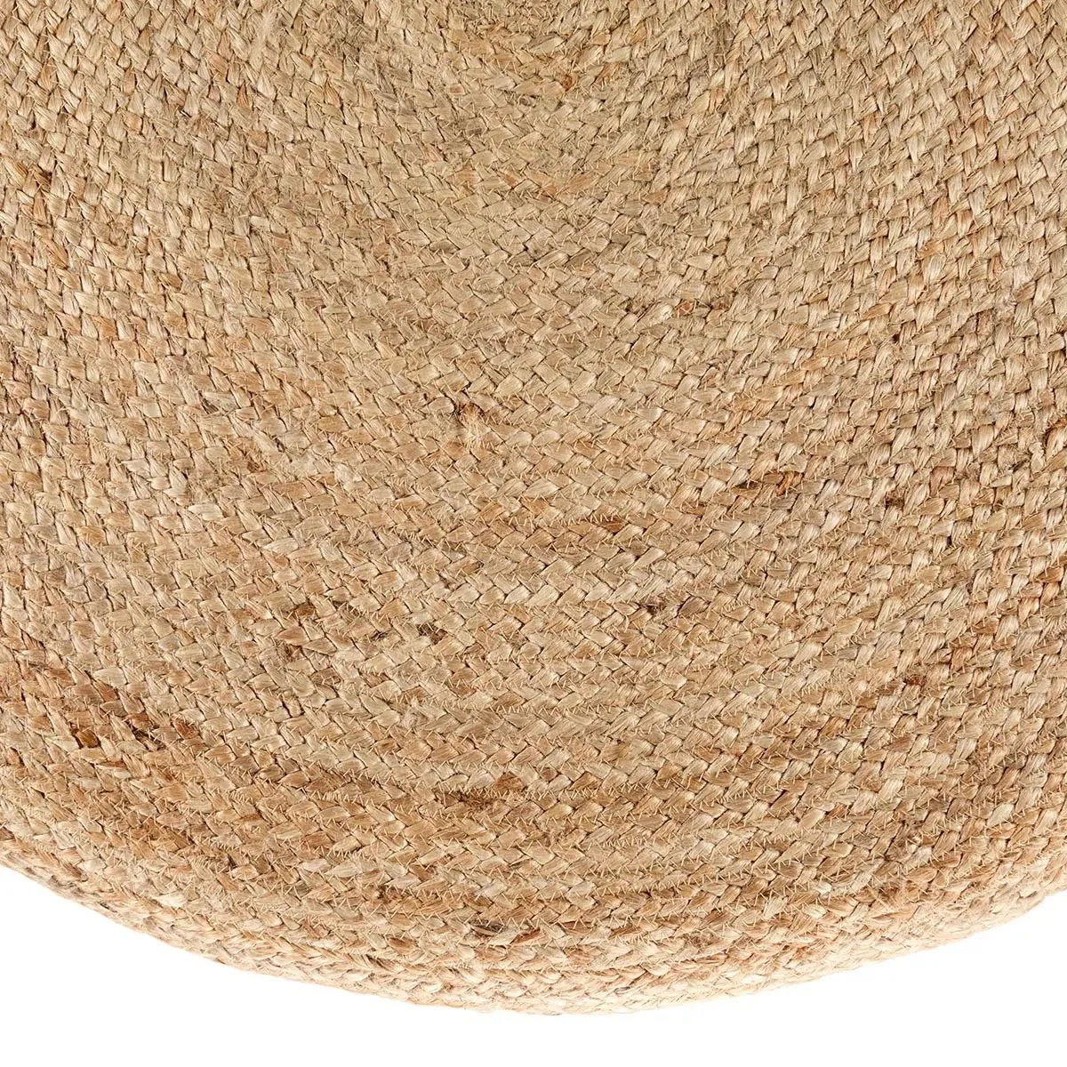 SBT02_1.jpg
