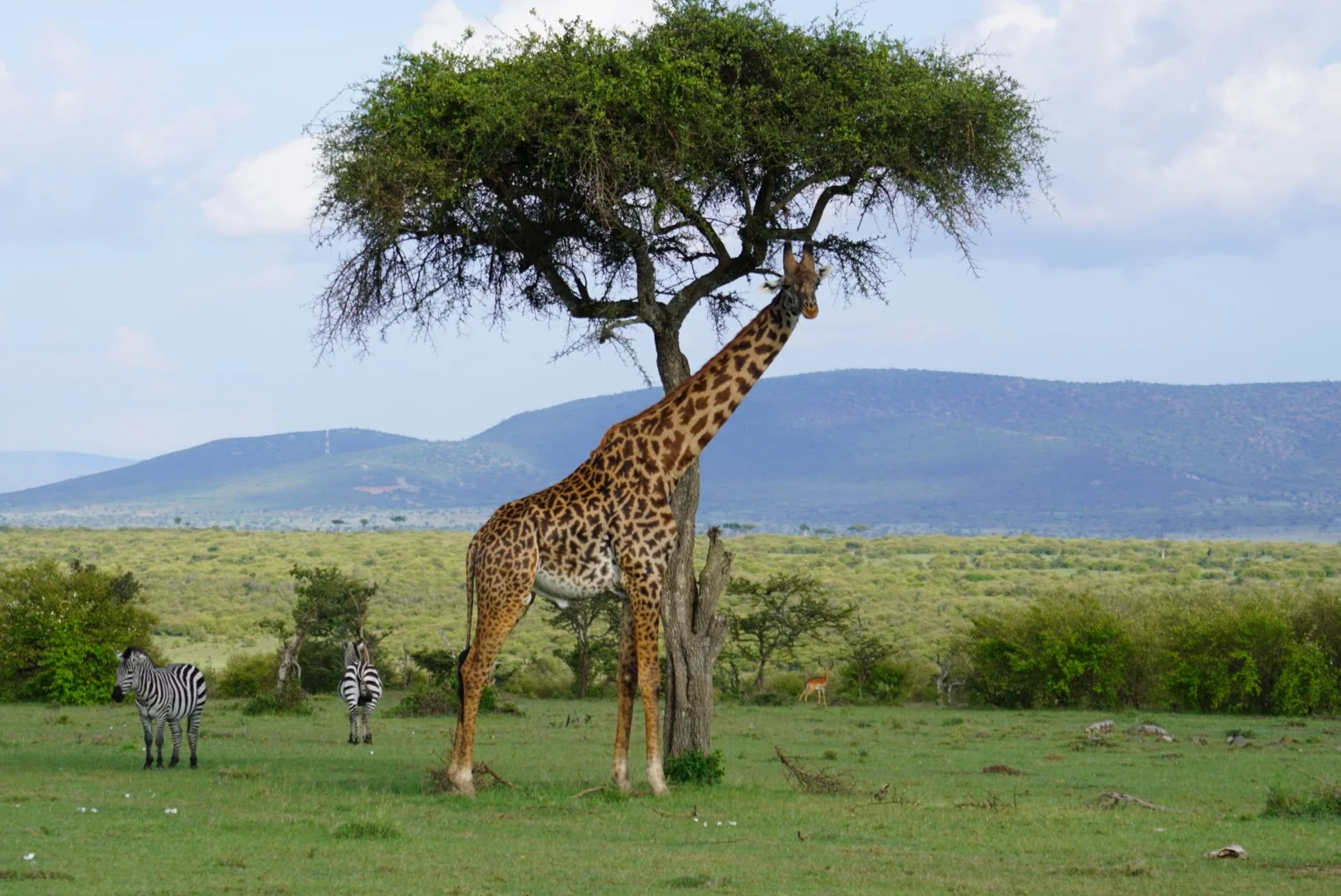 Trip of a Lifetime to Kenya 🇰🇪