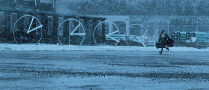 PAVO-ANAMORPIHIC_상세02.gif