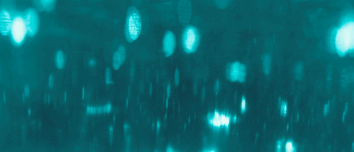 PAVO-ANAMORPIHIC_상세05.gif