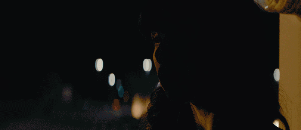 PAVO-ANAMORPIHIC_상세06.gif