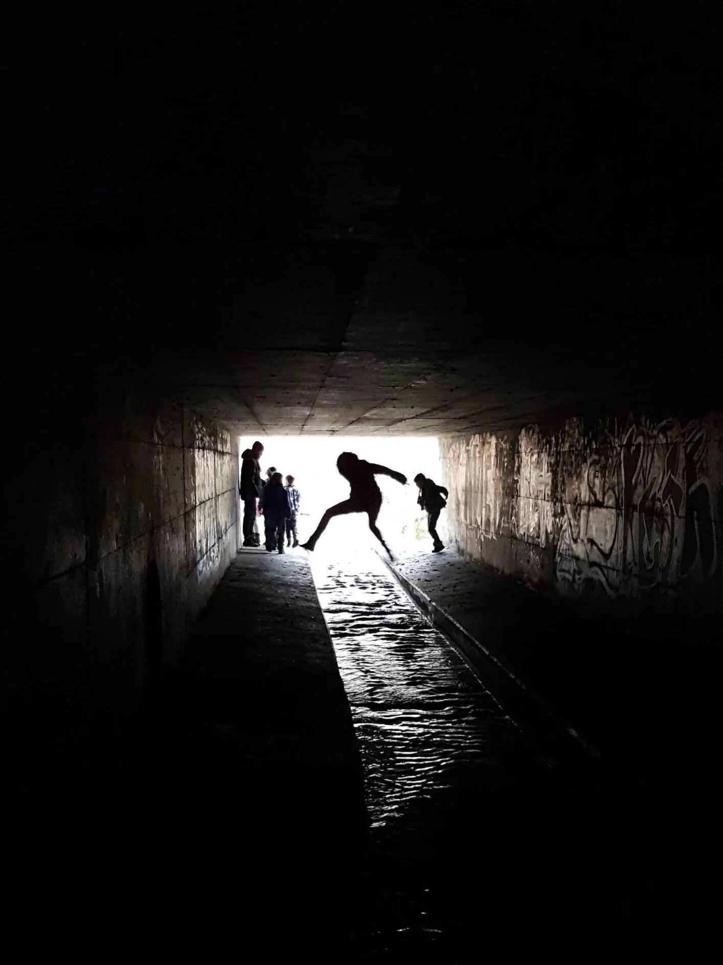 Semsterprogramm Wölfe Mutschellen