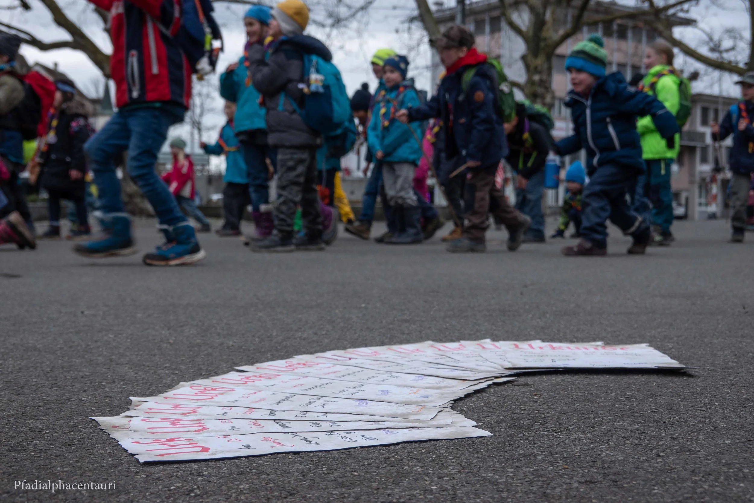 Mission: Rettet die Pinguine!