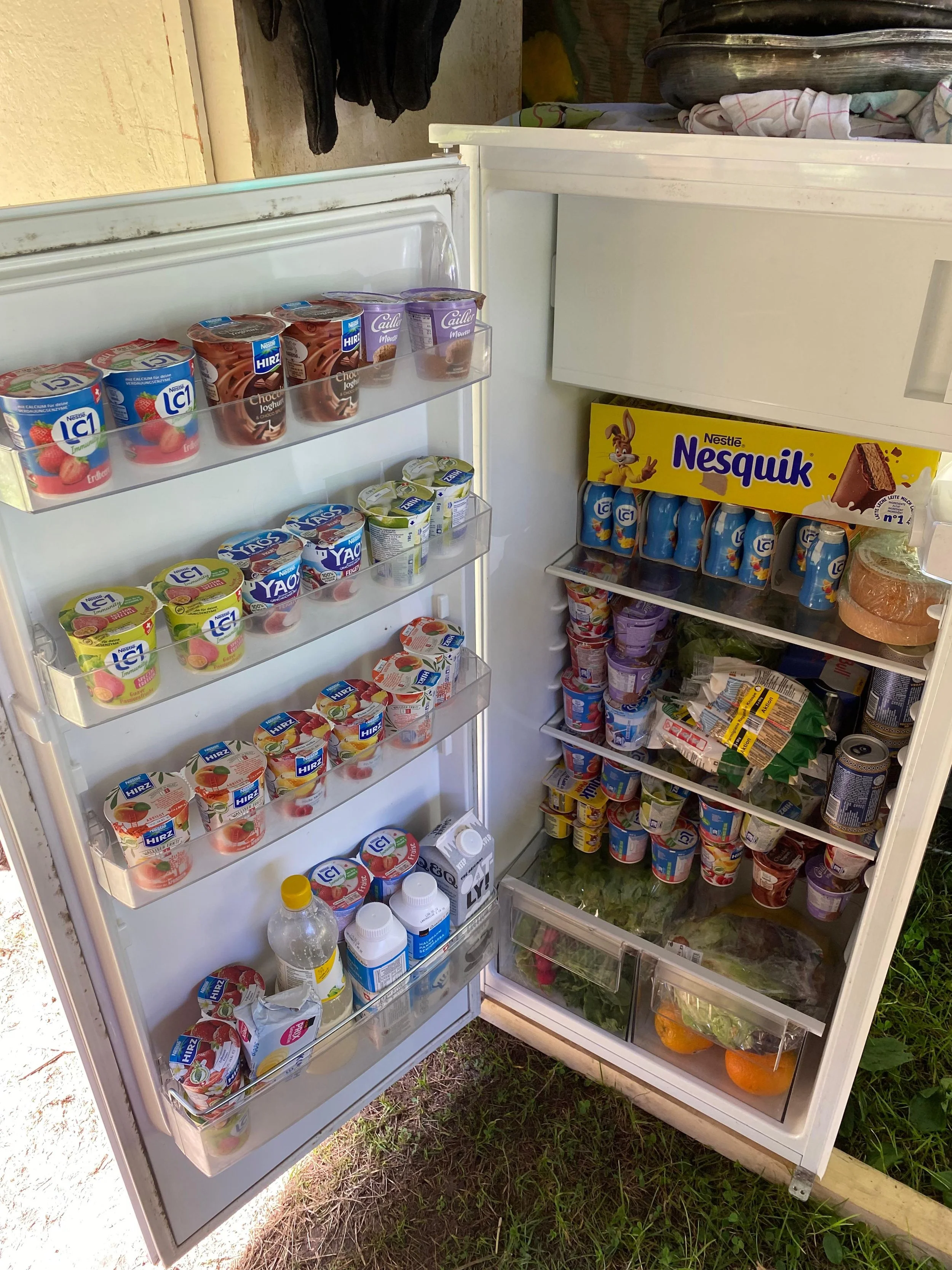 WhatsApp Image 2024-08-12 at 11.55.55.jpeg