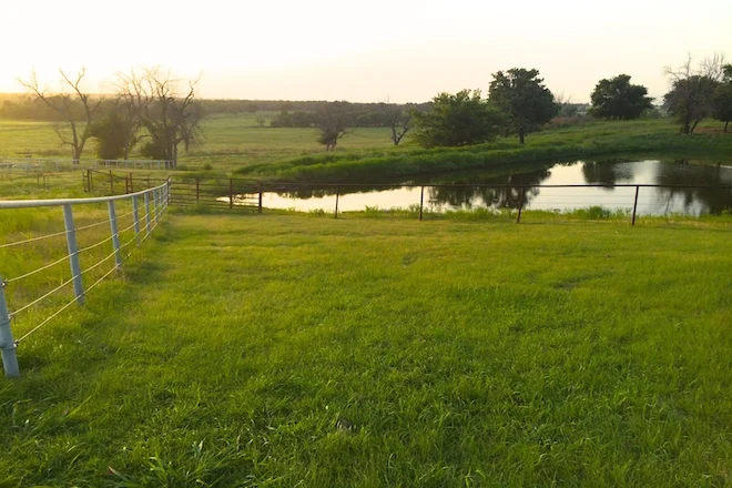 15. backyard view .JPG