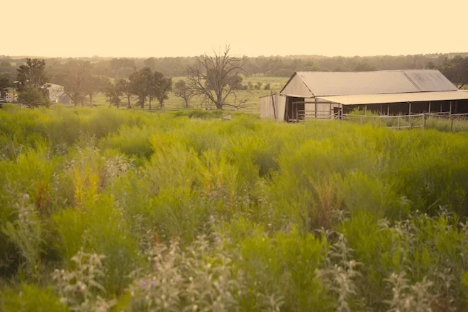 16. country view .JPG