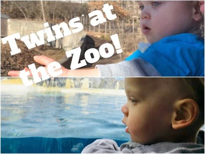 Twins at the Zoo