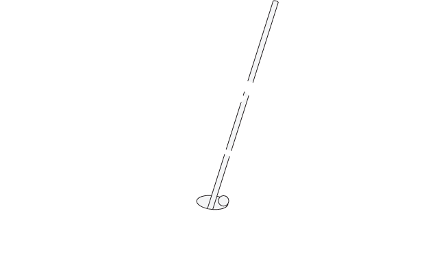 ACE's Place Logo Reversed.png