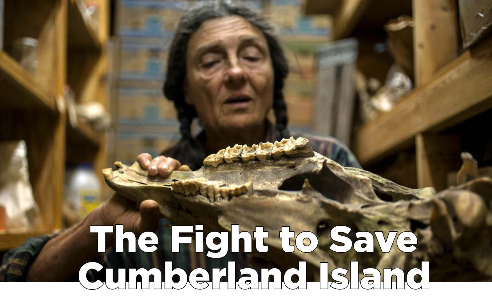 Pursuits by Enterprise