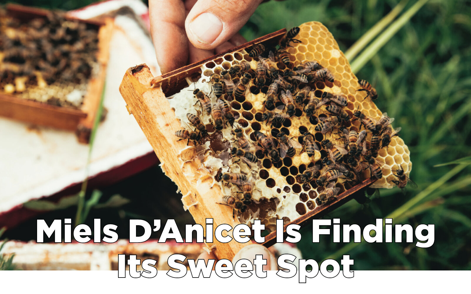 Growers & Co. Magazine