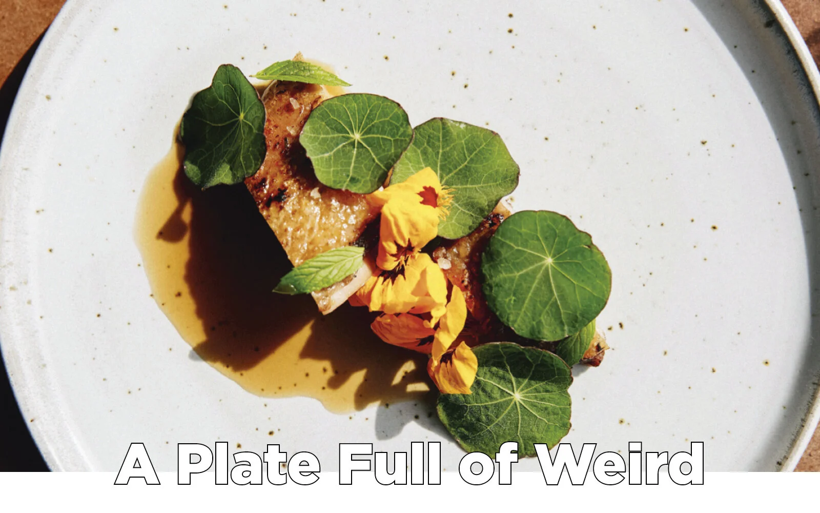 Growers & Co. Magazine