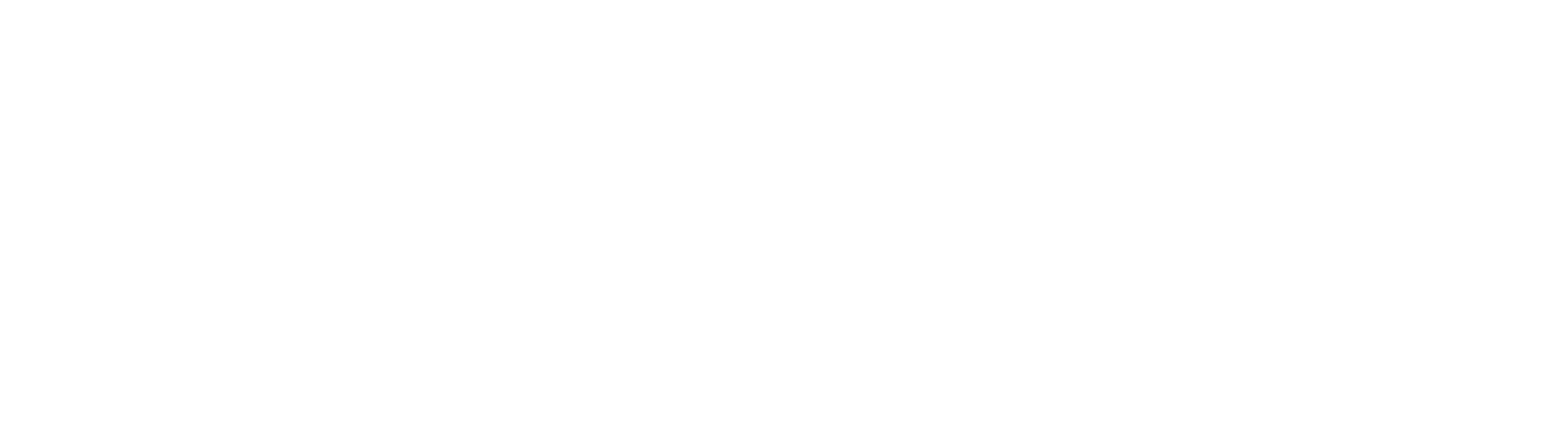 Ripple Effect Ventures