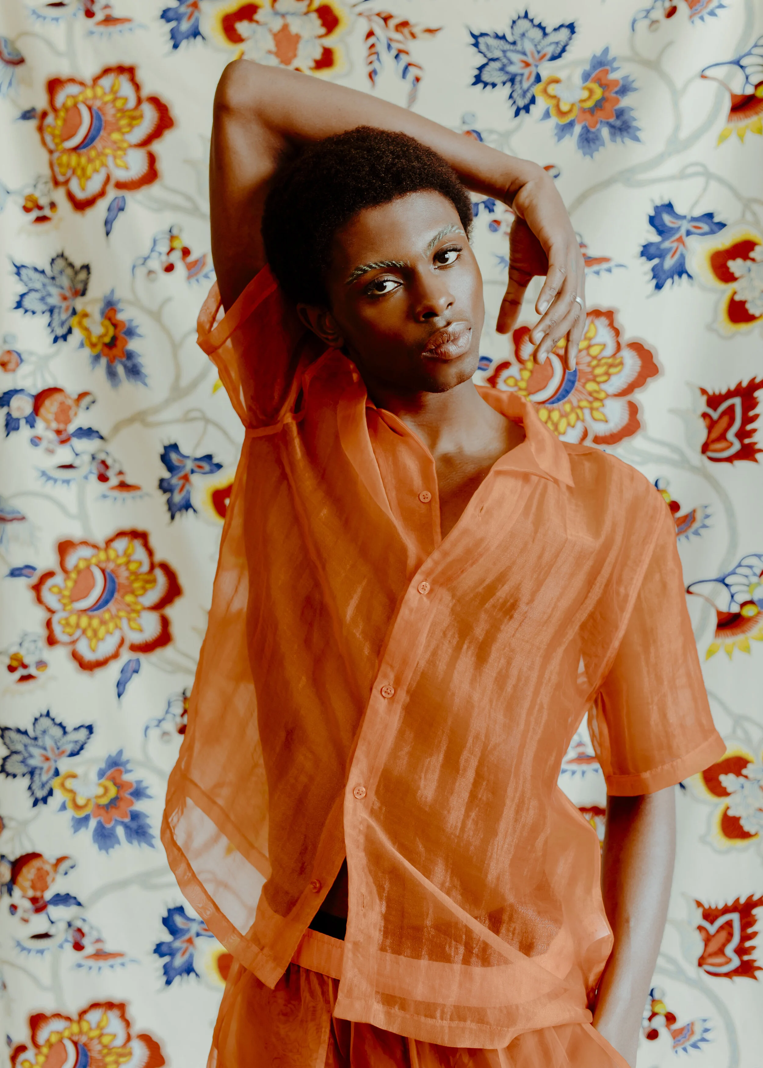 Paisley Day Dream1JPG.JPG