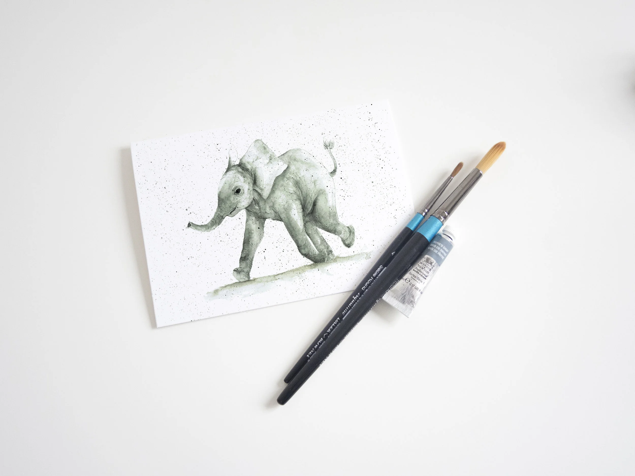 elephant.jpg