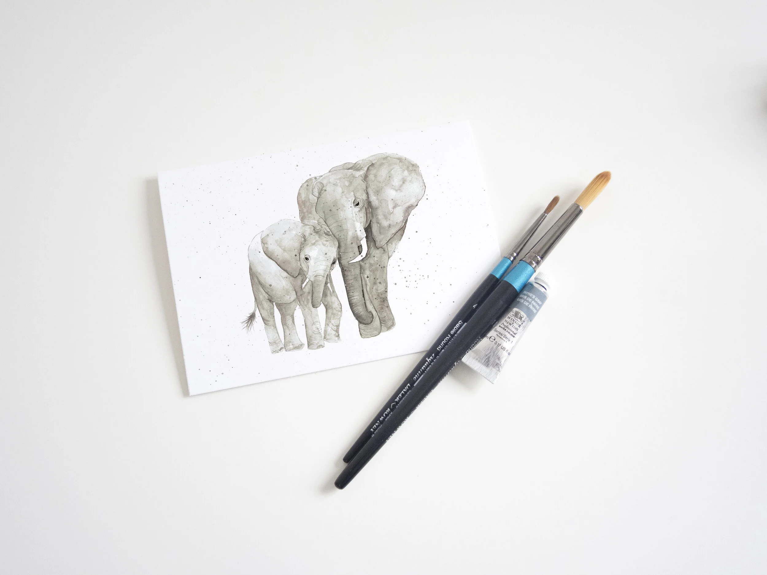 elephantpair2.jpg